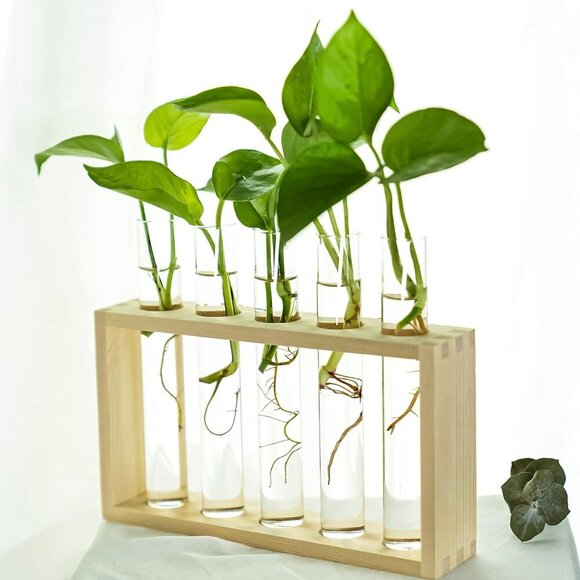 Wall Hanging Glass Planter Propagation Station Test Tube Flower Vase Vintage Woo - Picture 2 of 8